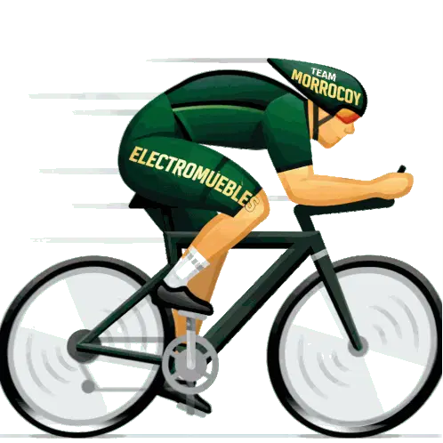 Team Morrocoy Electromuebles Sticker