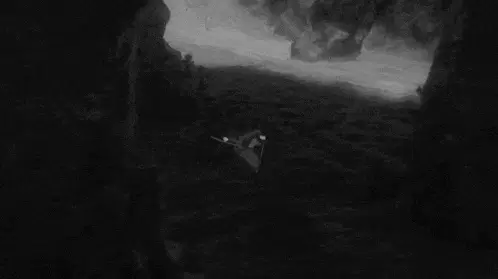 One Piece Zoro