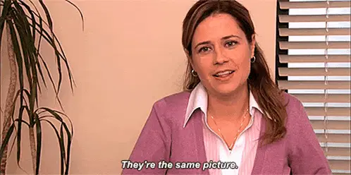 Pam Beesly: They're the same picture