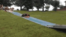 GIF 이미지