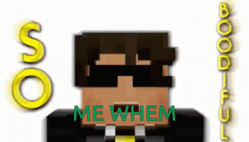 Skydoesminecraft Leah Fix Me Whem Meme