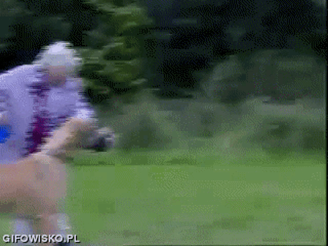 Grandma's Dog Walk Fail