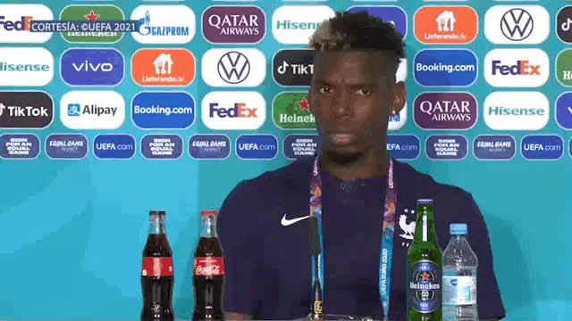 Paul Pogba: Francia Press Conference