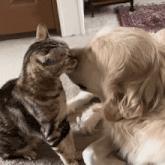 GIF diunggah ku Bhuvan