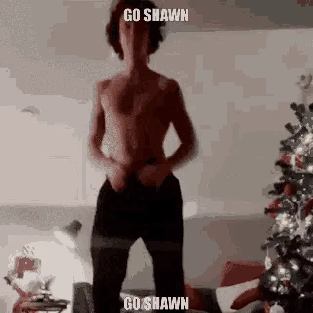 Shawn Mendes Dance