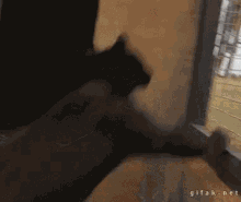 GIF ανέβηκε από Chris