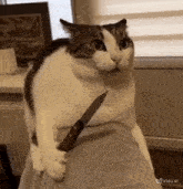 GIF