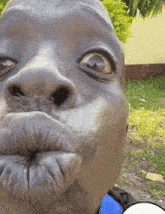 GIF 이미지