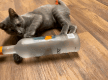 GIF