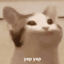 GIF uploaded by Dave