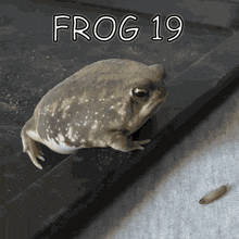 GIF 이미지