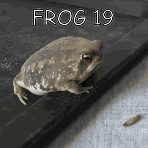 GIF 이미지