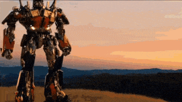 User Comment Image