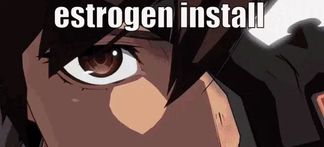 Ky Kiske: Estrogen Install Meme