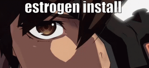 Ky Kiske: Estrogen Install Meme