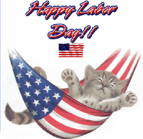 Happy Labor Day Cat in Hammock
