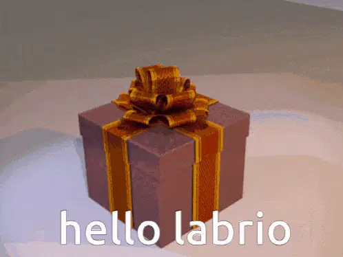 Hello Labrio! Rio Mason Busujima Gift Box Surprise