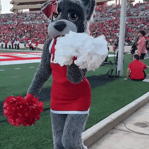 Lobo Louie Mascot at The University of New Mexico