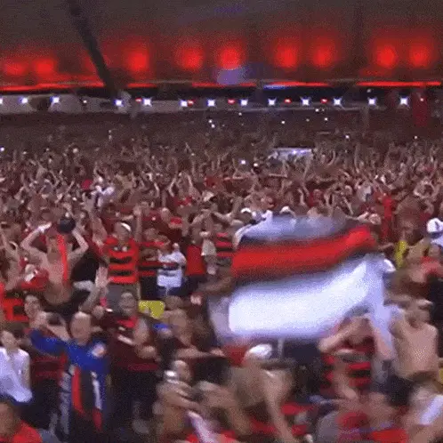 Torcida do Flamengo: Maringá X Flamengo