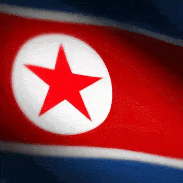 DPRK Flag Waving
