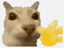 GIF uploaded by Alfredo