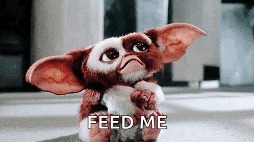Gremlin: Feed Me