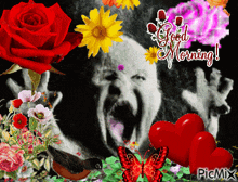 GIF uploaded by Ansh
