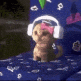 GIF gi-upload ni ~PiPi~