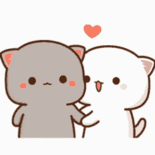 GIF 이미지