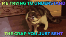 GIF uploaded by Dandan; Not Not Dan - The Real Dan; What is a Dan?
