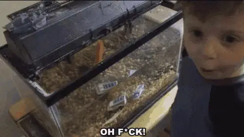 Kid Reacts to Fish Tank with 'Oh F*ck!'