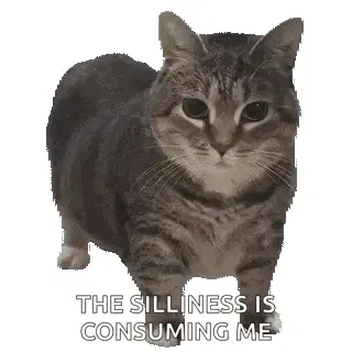 Gato Liga Nexus: La tontería me consume