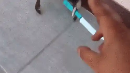 Happy Crab with a Blue Sword