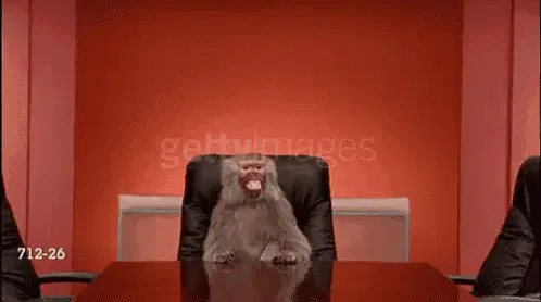 Baboon Sitting in Office Chair