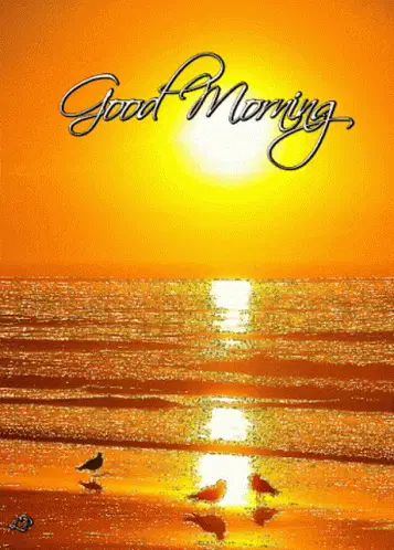Good Morning Love You – good morning memes meme GIF free download no watermark 2026