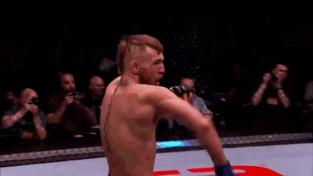 Conor McGregor in the UFC Octagon