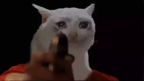 Crying Cat Points Gun Meme