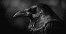 GIF uploaded by Austen