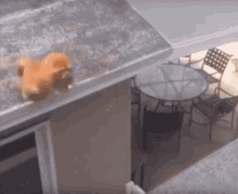 FunnygirlがアップロードしたGIF