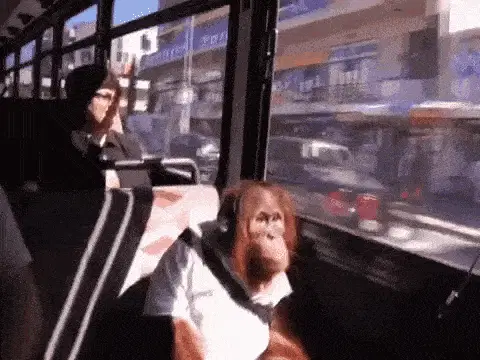 Monkey Thinking on a Bus