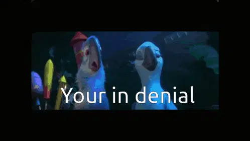 Rio Birds In Denial Meme