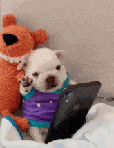 GIF הועלה על ידי Hari