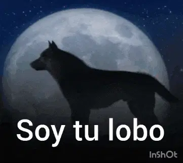 Lobo Aullando a la Luna