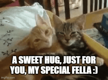 Sweet Cat Hug: Just For You, My Special Fella