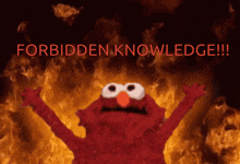 GIF hochgeladen von Qlohvr