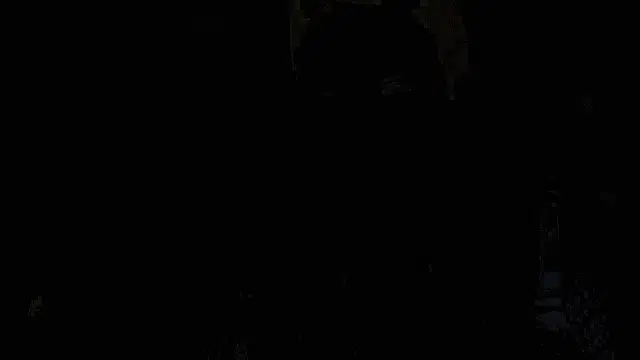 Chaldea: I'm With You Sword Scene