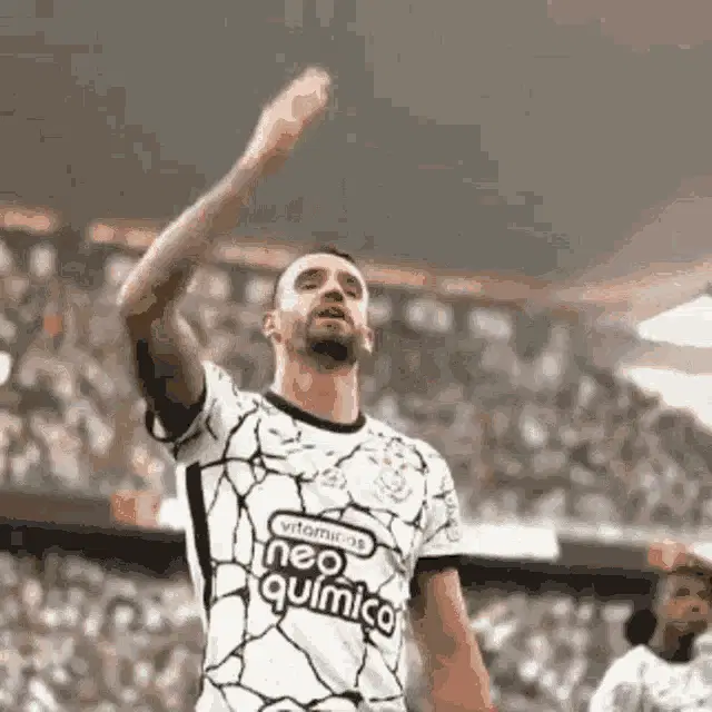 Renato Augusto Celebrates