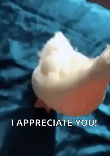 Cute Duck Says 'I Appreciate You!'