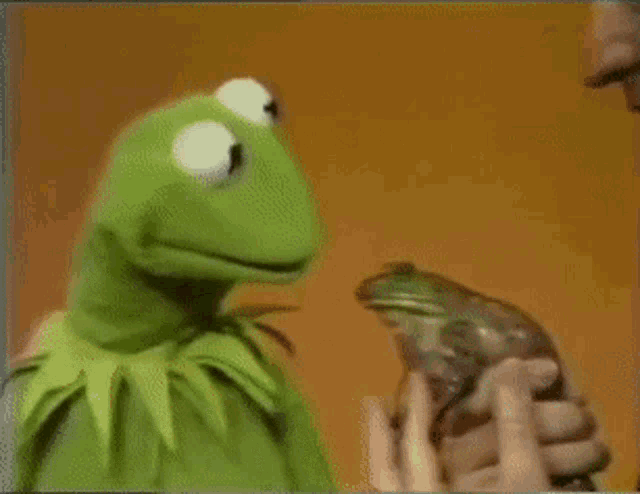 Kermit the Frog's Shocking Encounter