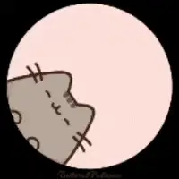 Pusheen Cat Dances to Pedro Pedro Pedro Meme